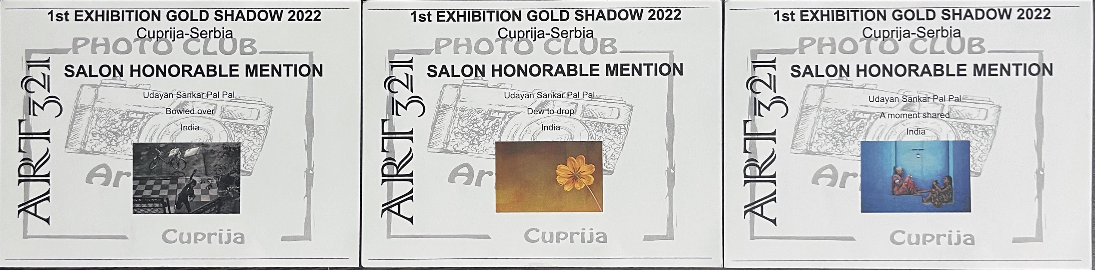 Gold Shadow-2022