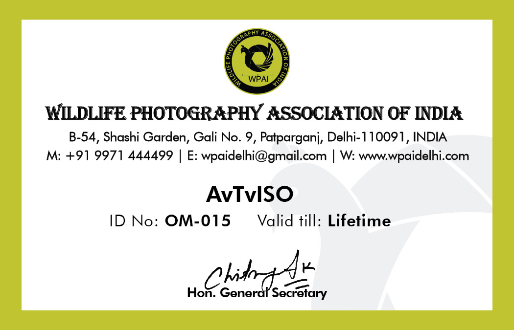 WPAI Membership for #AvTvISO