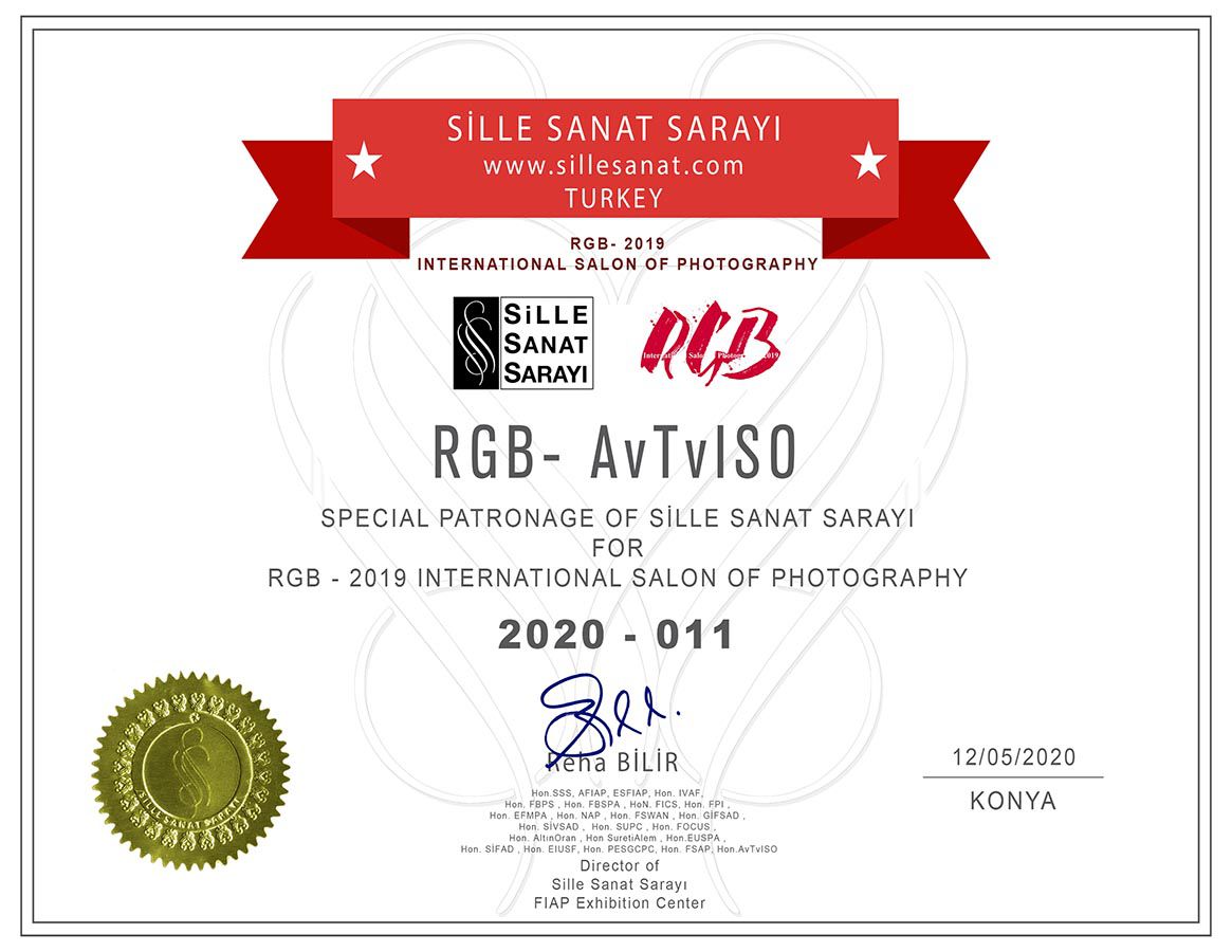 SSS Certificate for 3rd #AvTvISO Salon RGB-2020