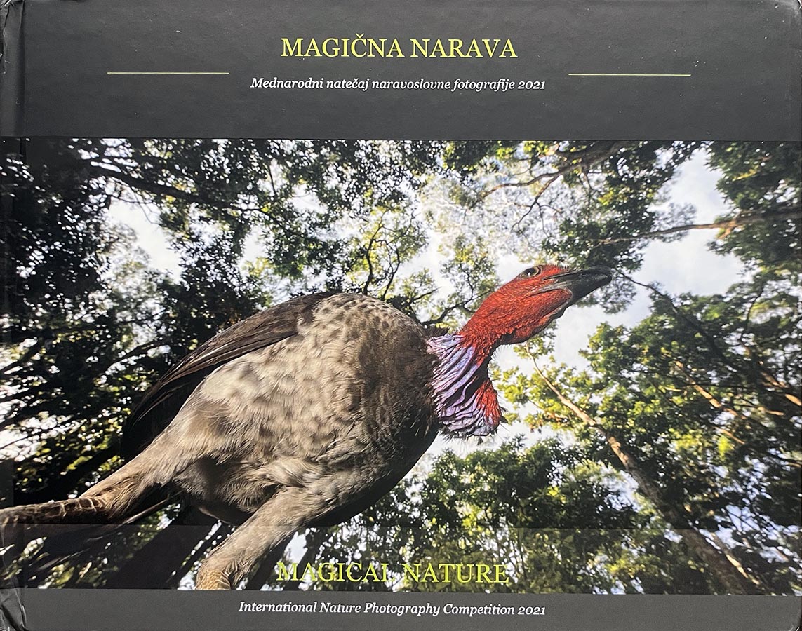 Magical Nature-2021 Catalog