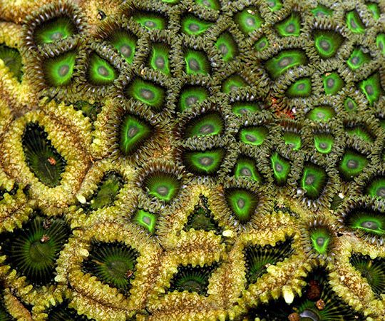 3RD PRIZE: Yuwaraj Pramod Gurjar