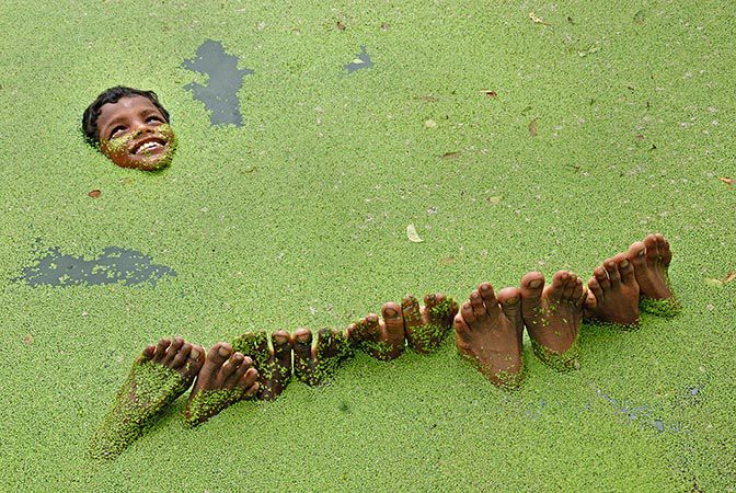 3rd PRIZE: Prasanta Biswas