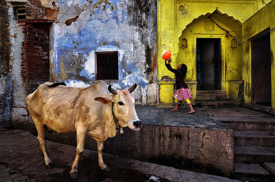 1st PRIZE: 	Shibasish Saha