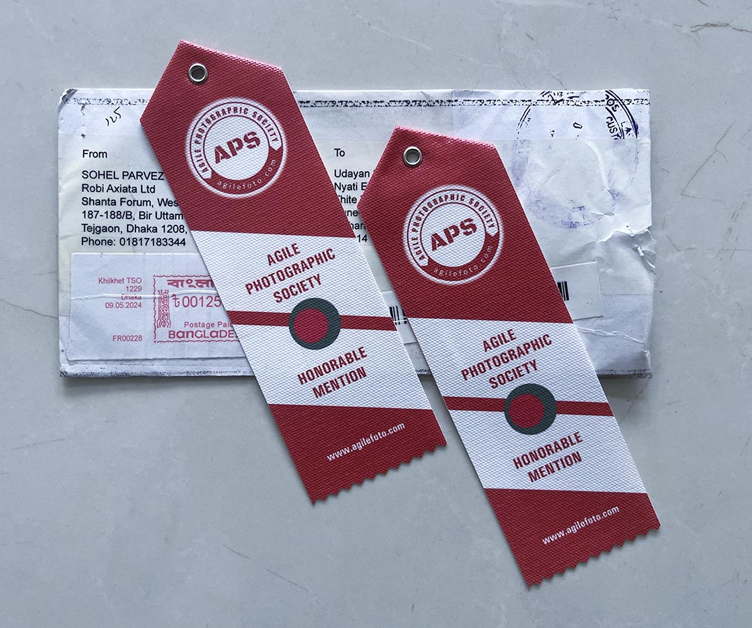 World Photo Stories-2024 