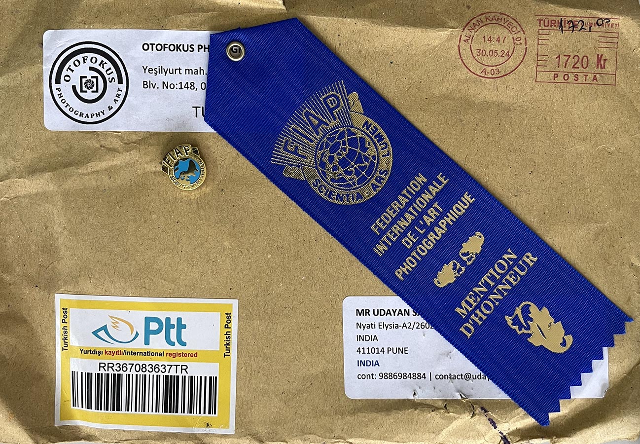 Adana Orange Blassom Carnival-2024