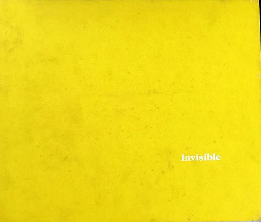 Invisible by Stephen Gill