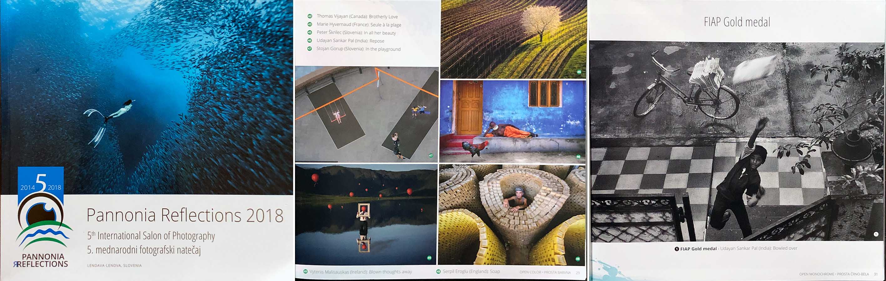 ANNONIA REFLECTIONS-2018