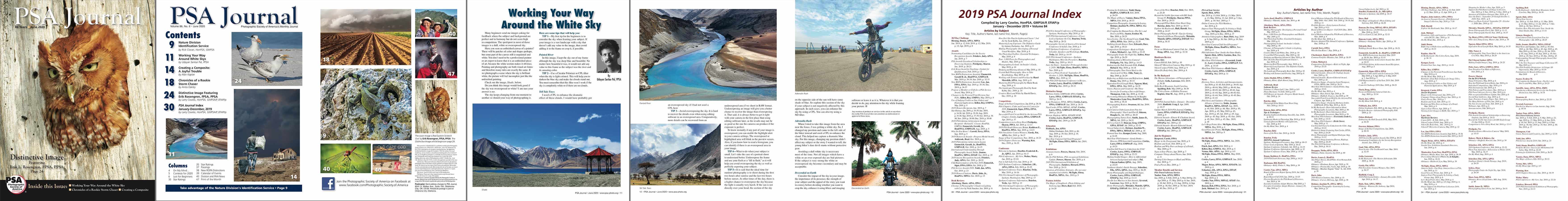 PSA Journal: Jun2020