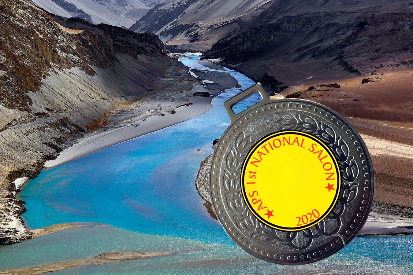 APS National Salon-2020