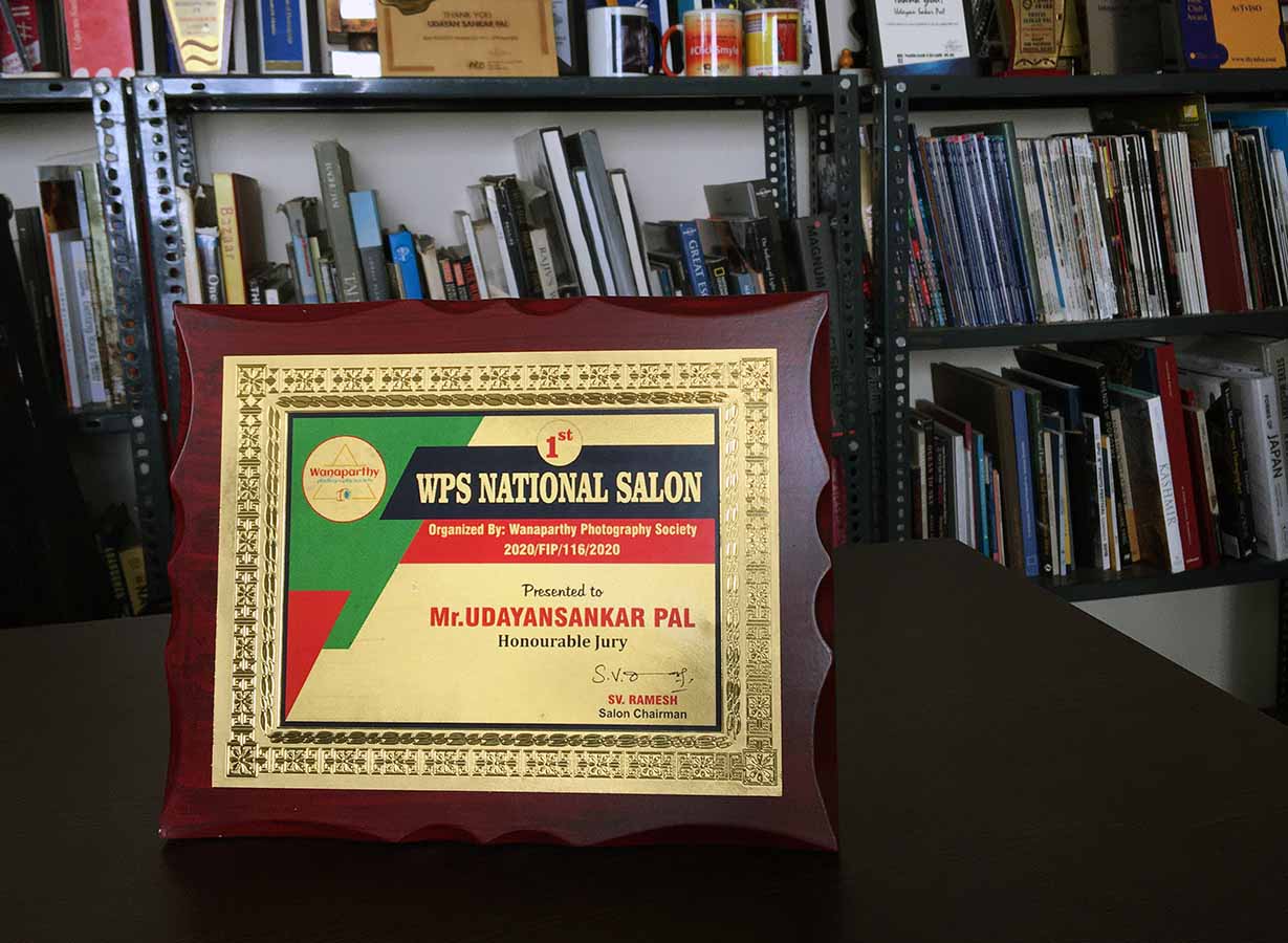 WPS National Salon-2020