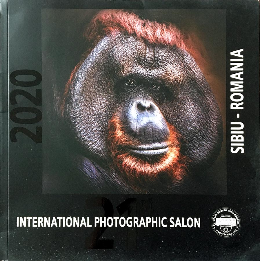 SIBIU Romania Innternational-2020