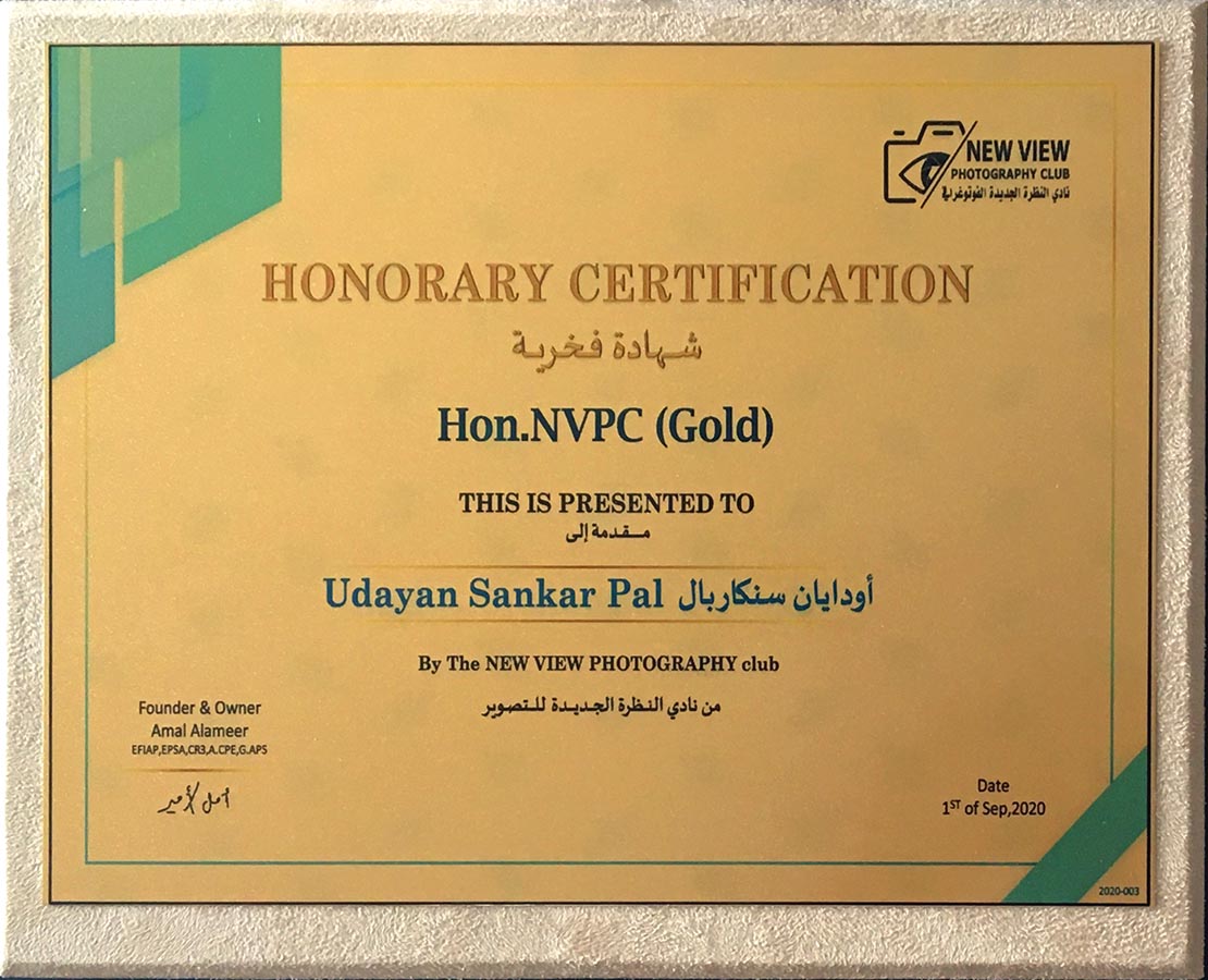 HonNVPC/Gold