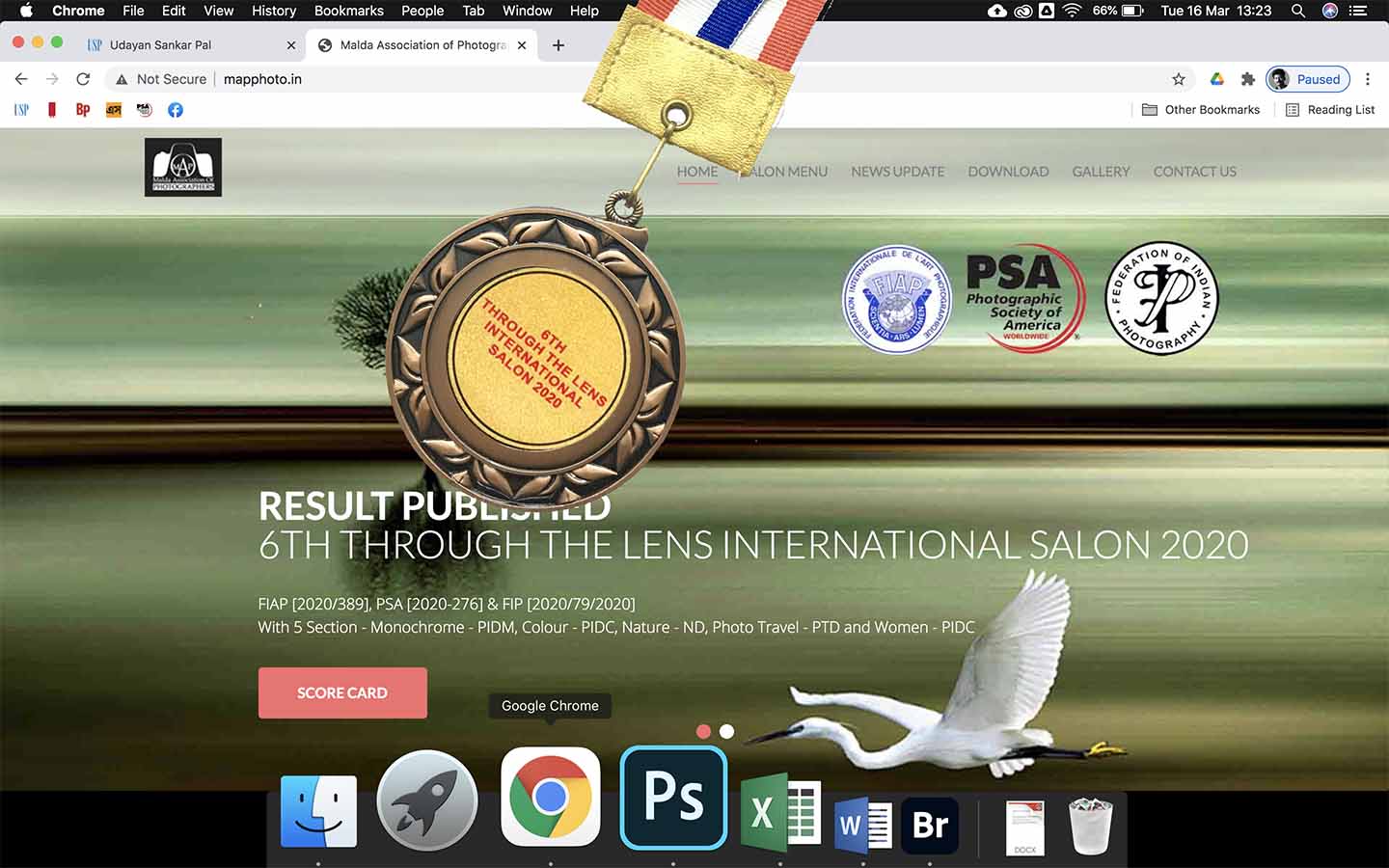 Through the Lens International-2020