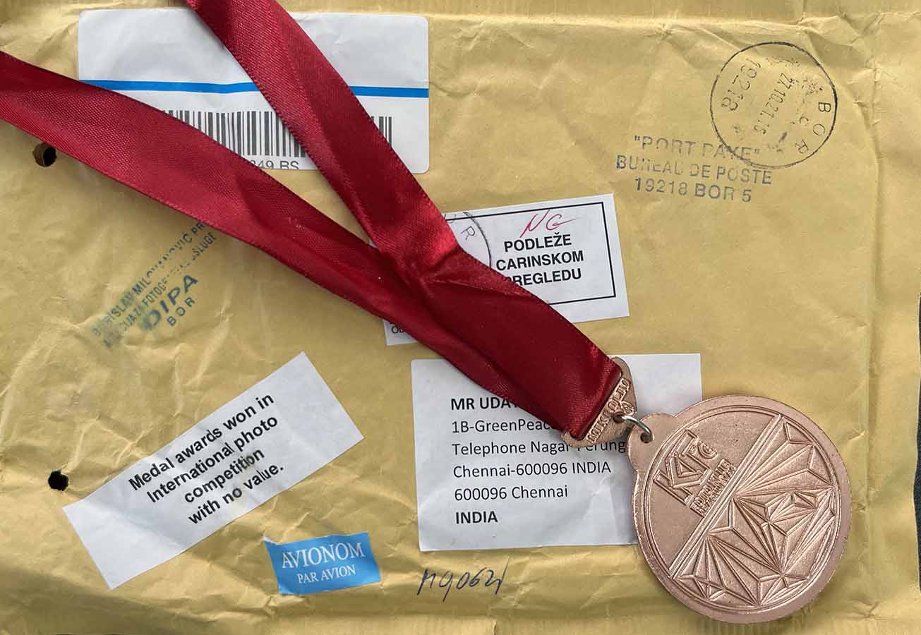 Through the Viewfinder-2021