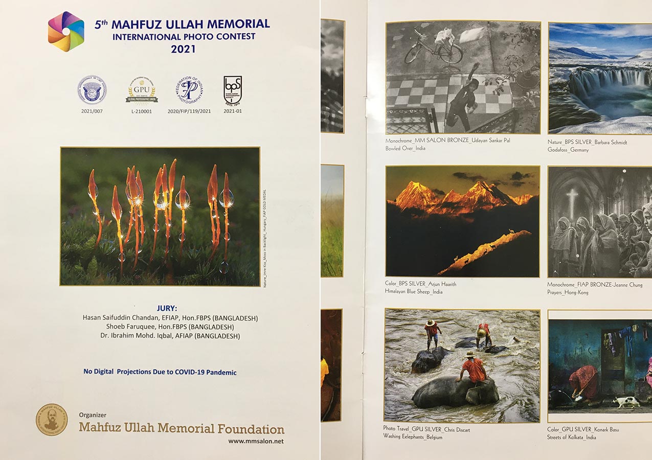Mahfuz Ullah Memorial-2021