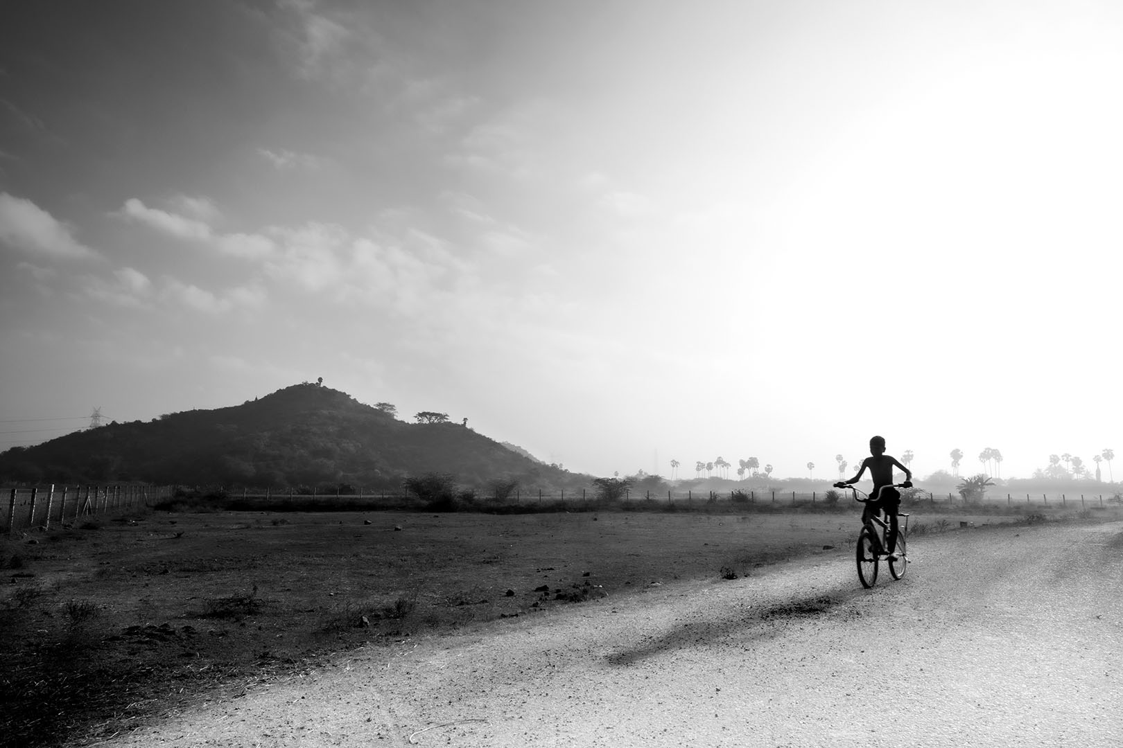 15 | Tamil Nadu 2020