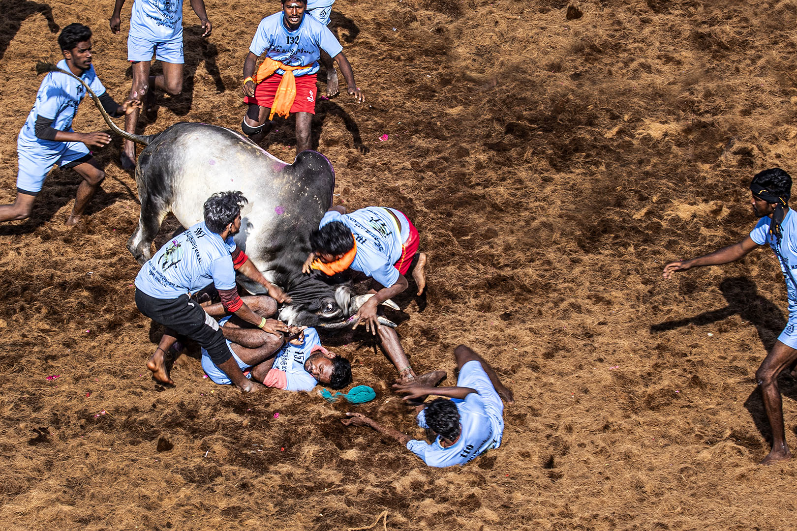 107 | Madurai 2019 | Jallikattu