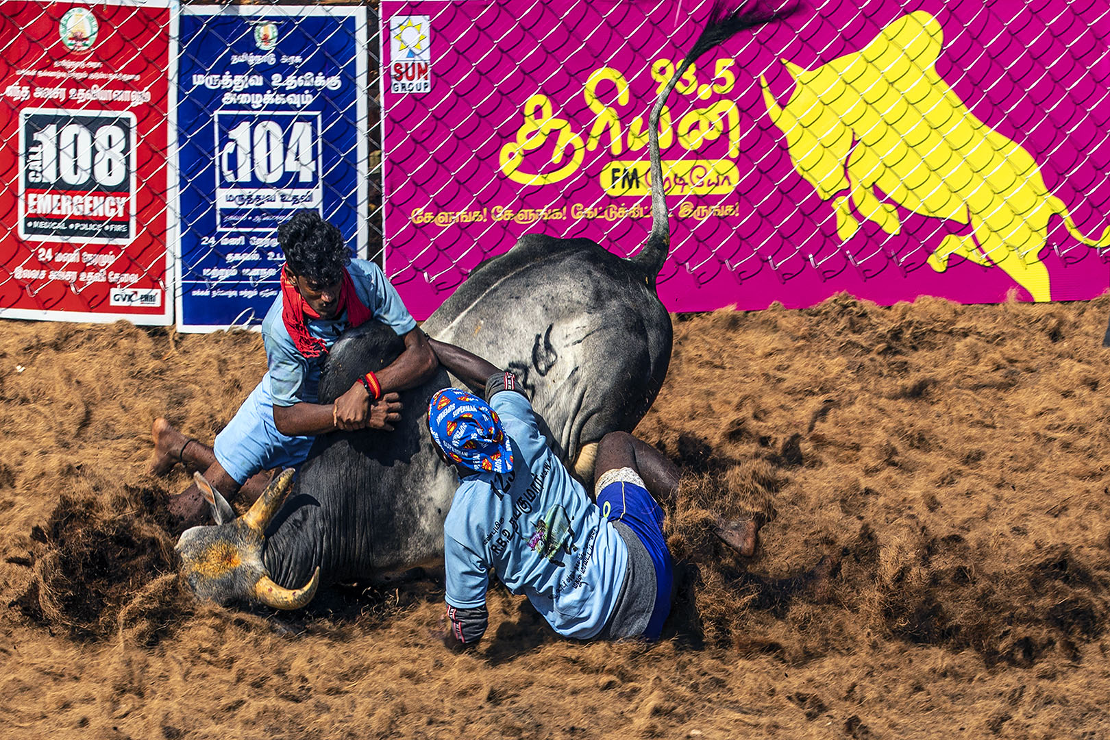 109 | Madurai 2019 | Jallikattu