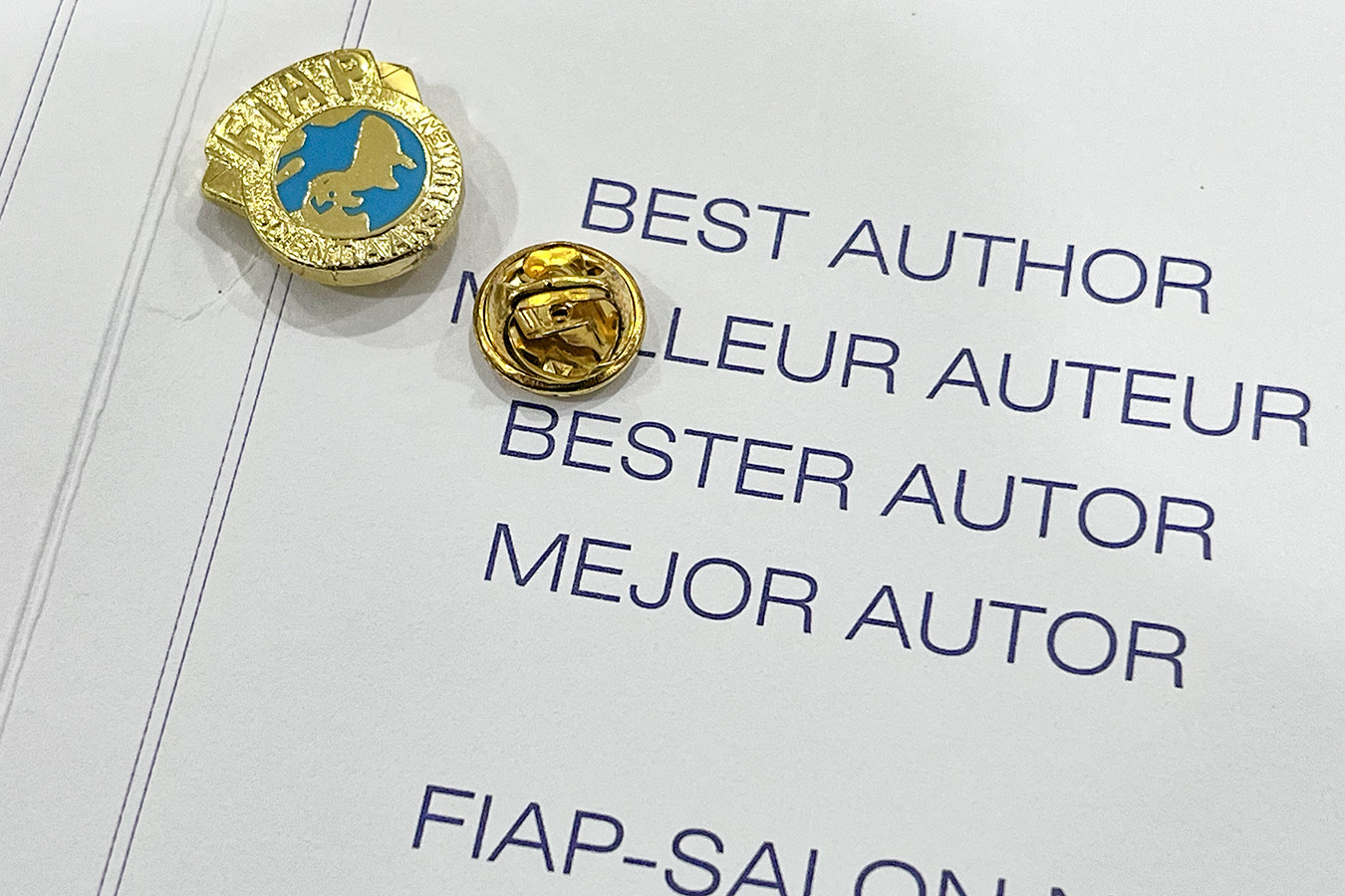 FIAP Light Blue Pin 2026