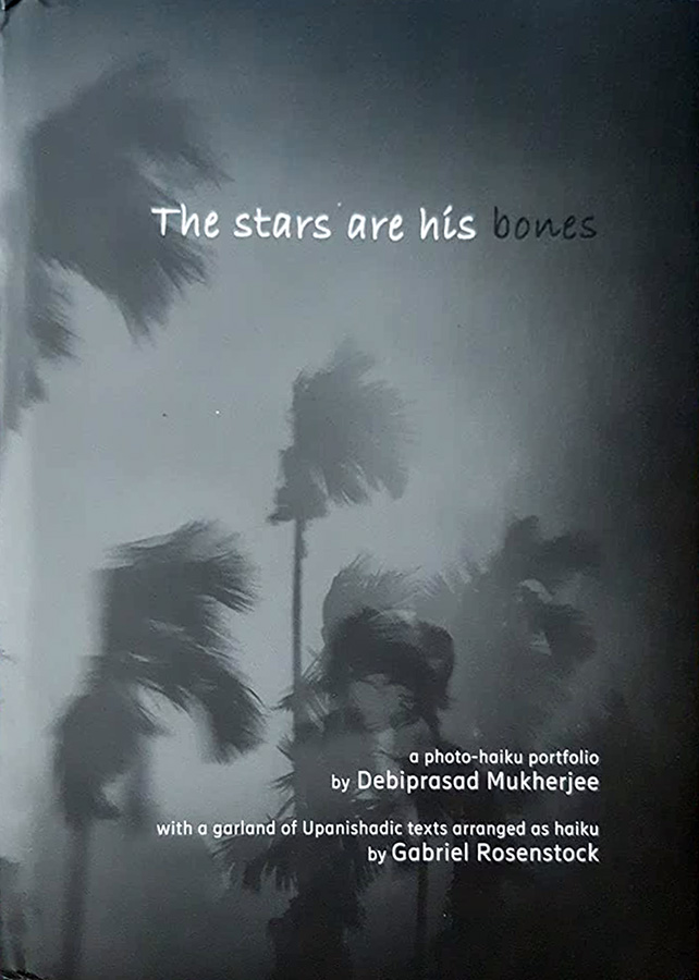 The stars are his bones by Debiprasad Mukherjee