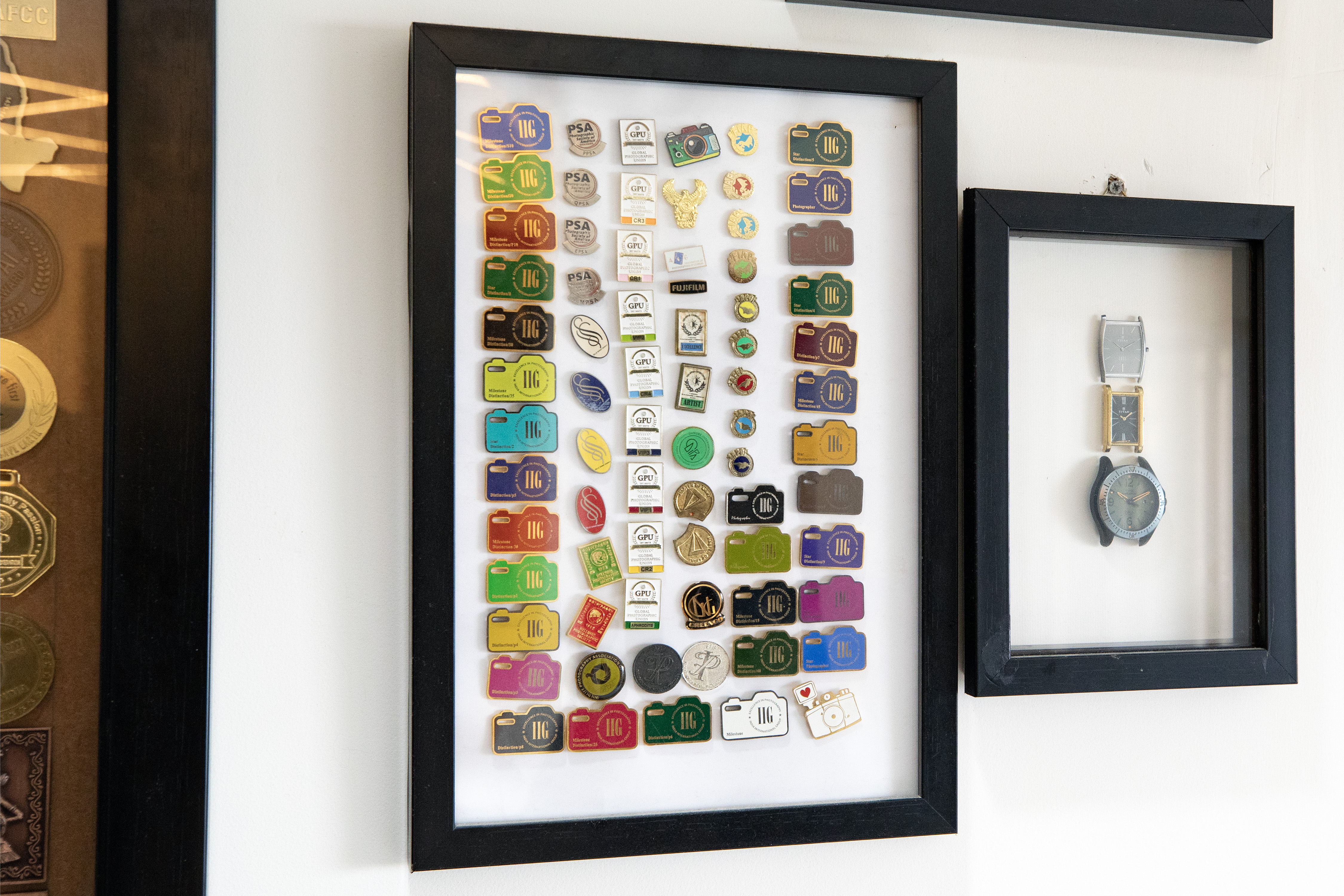 Distinction Pins
